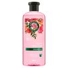 Shampoo-Classic-Smooth-400ml-imagen-5