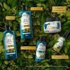 Shampoo-y-Acondicionador-Herbal-Essences-Aceite-de-Argán-Repara-400ml-+-400ml-imagen-2
