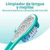 Cepillo-Dental-Colgate-360&ordm;-Original-Medio-2-Unidades-imagen-3