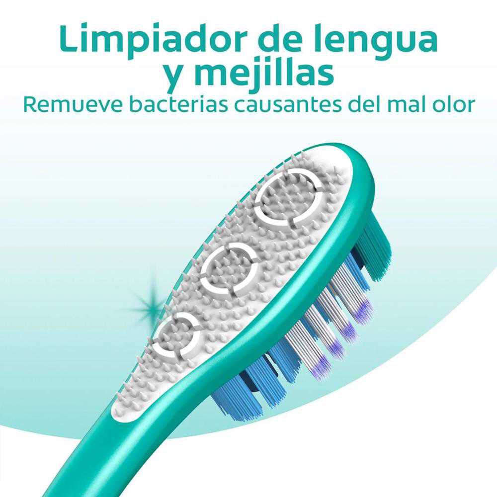 Cepillo-Dental-Colgate-360&ordm;-Original-Medio-2-Unidades-imagen-3