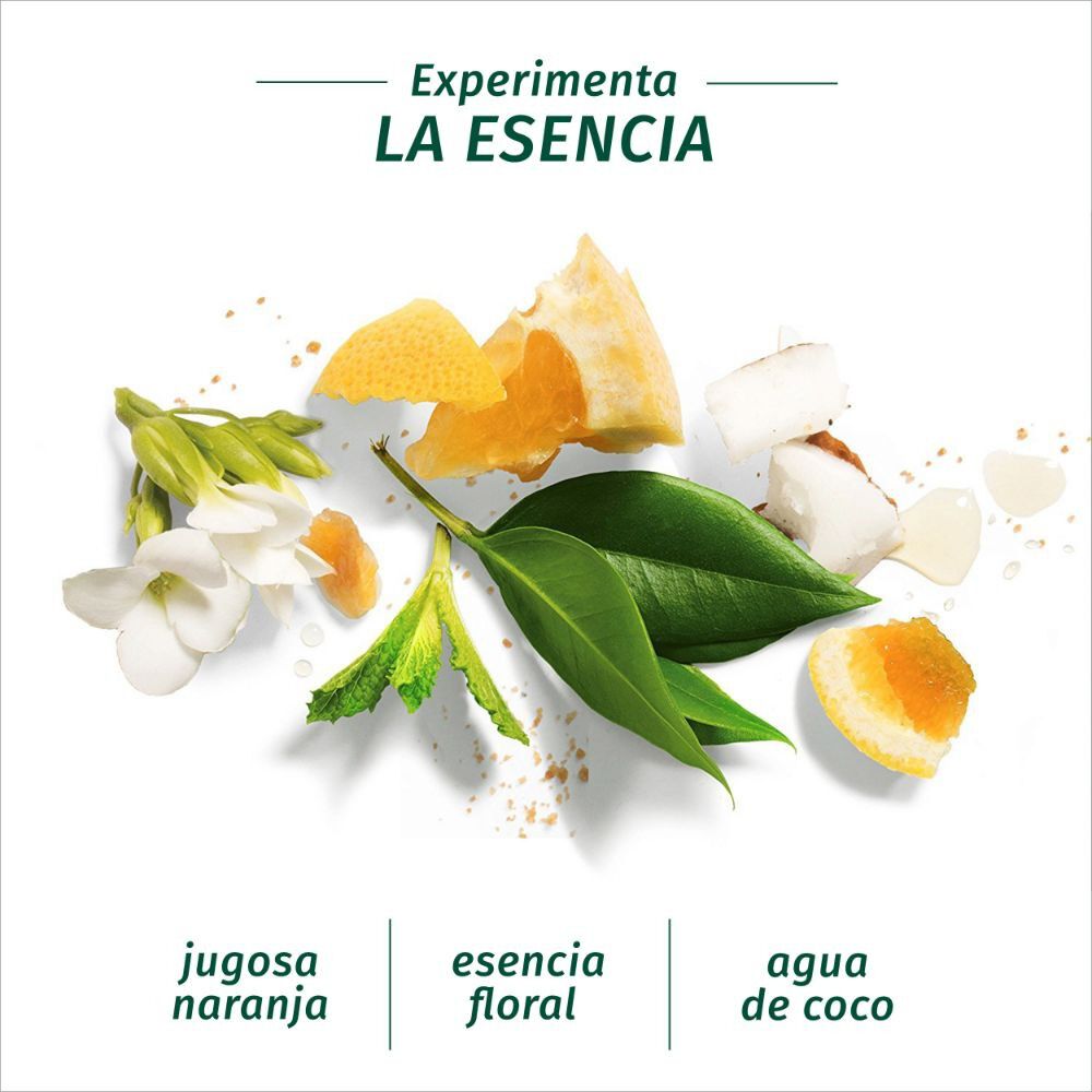 Estuche-Golden-Moringa-Shampoo-400-mL-+-Acondicionador-400-mL-imagen-3