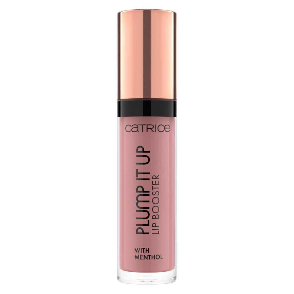 Lip Booster Labial Plump It Up Prove Me Wrong