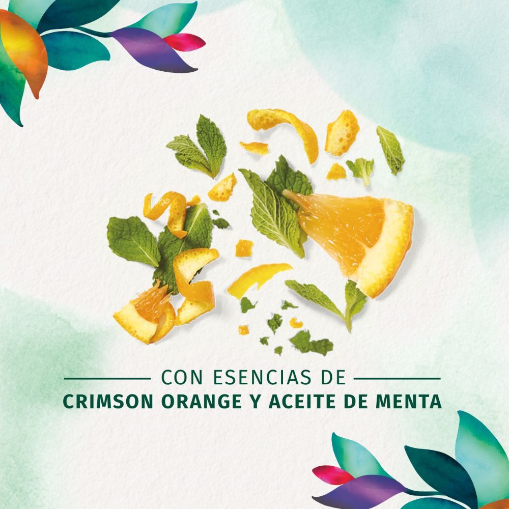 Detox-Brillo-Shampoo-300ml-imagen-4