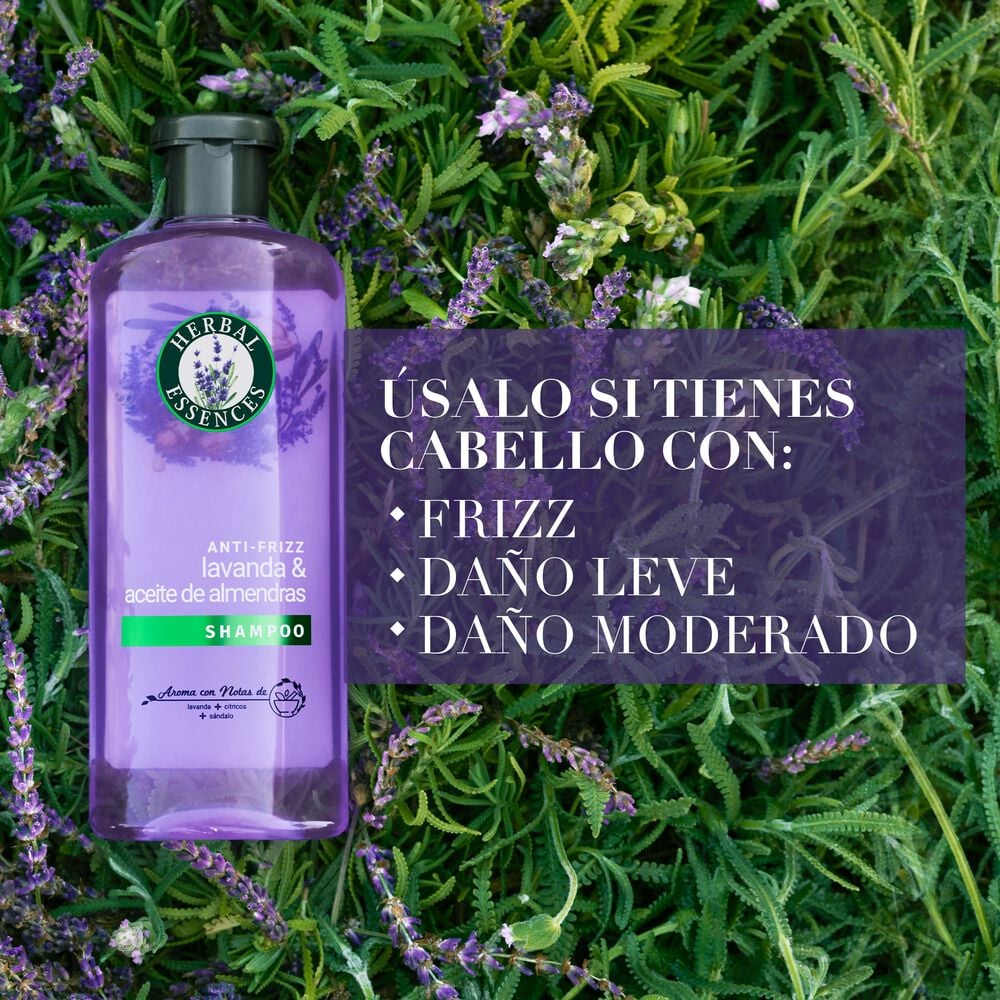 Shampoo Herbal Essences Antifrizz Lavanda 240 ml