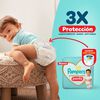 Pants-Premium-Care-Pa&ntilde;ales-Desechables-M-76-Unidades-imagen-5