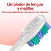Cepillo-Dental-360--Luminous-White-Medio-X2-imagen-5