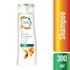 Detox-Brillo-Shampoo-300ml-imagen-1