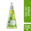 Colonia-Splash-Citrus-Limón-y-Notas-Verdes-con-Vaporizador-250-mL-imagen