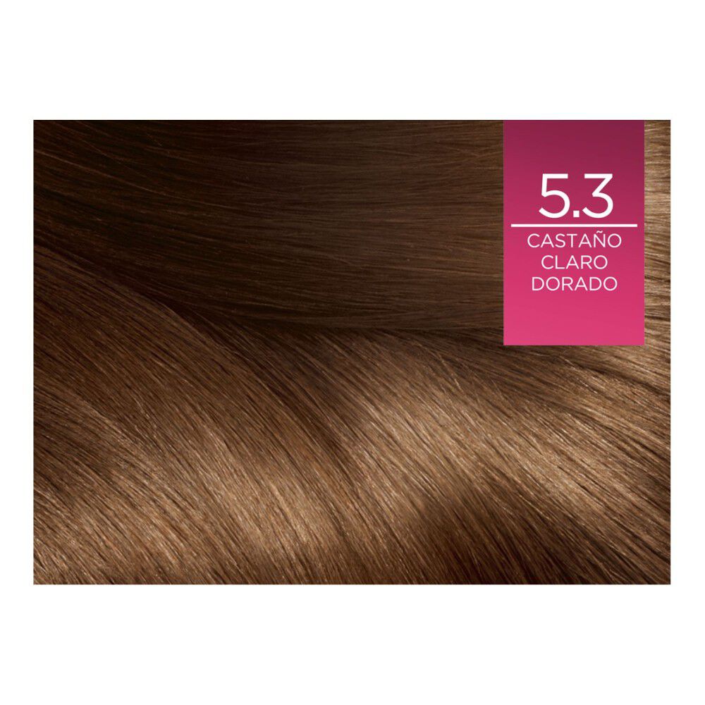 Coloración-Excellence-Creme-5.3-Castaño-Claro-Dorado-imagen-4