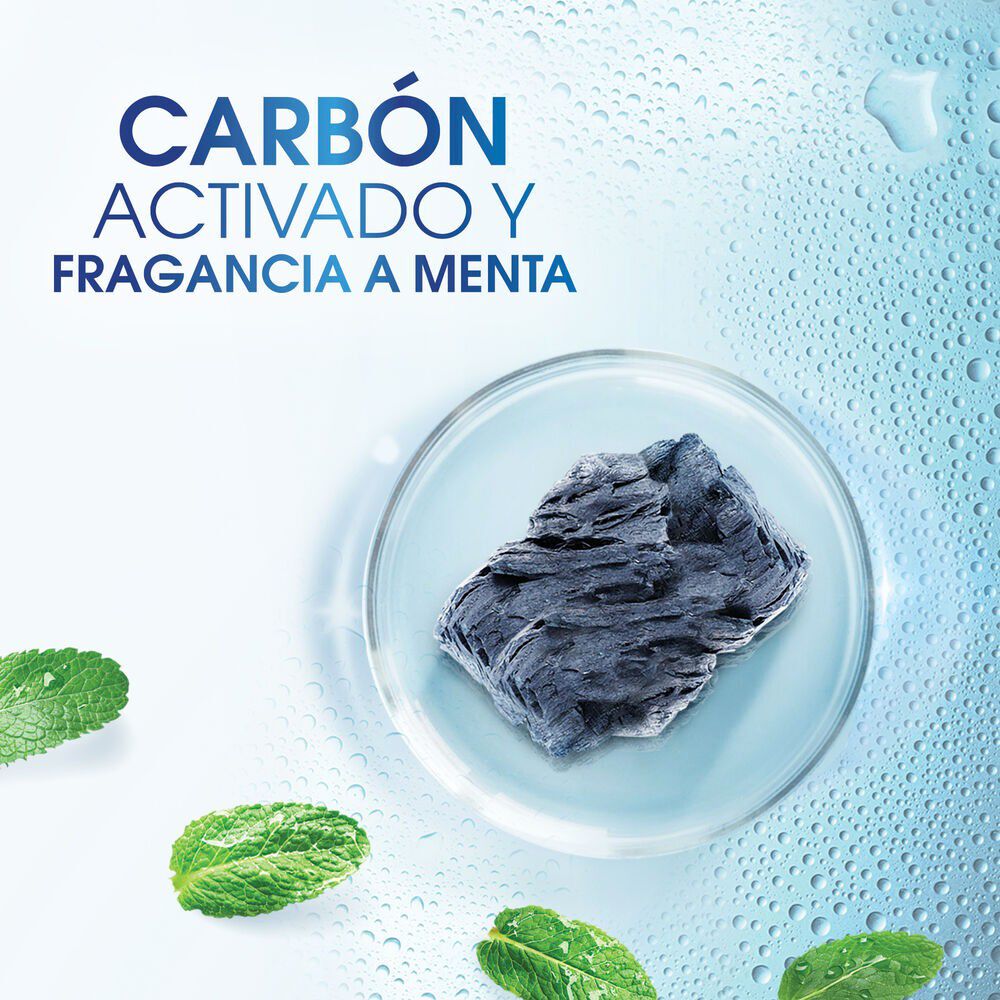 Shampoo-Purificación-Capilar-1-L-imagen-4