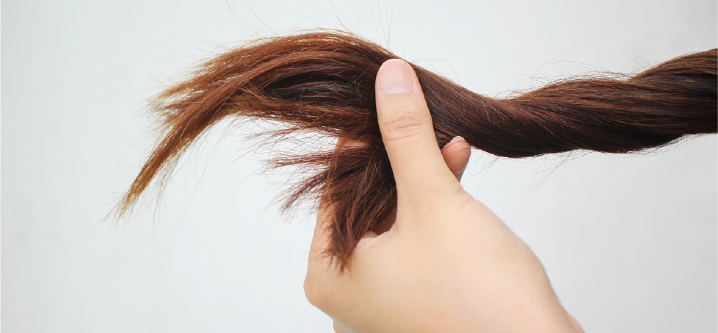 Cabello seco y largo